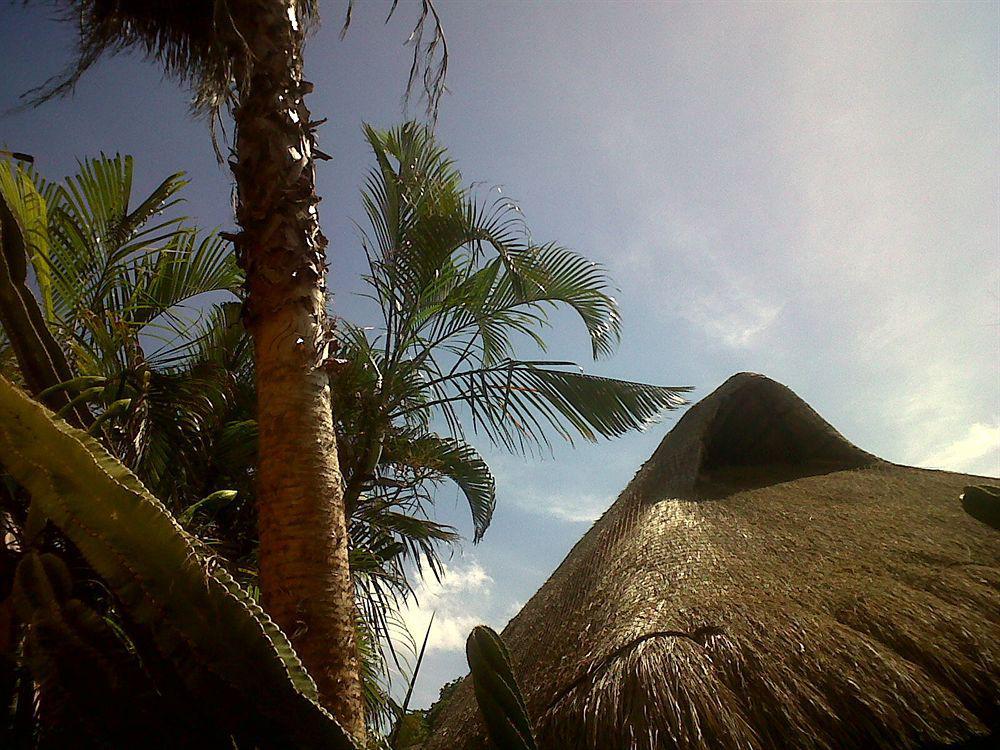 Barrio Latino Riviera Maya Playa del Carmen